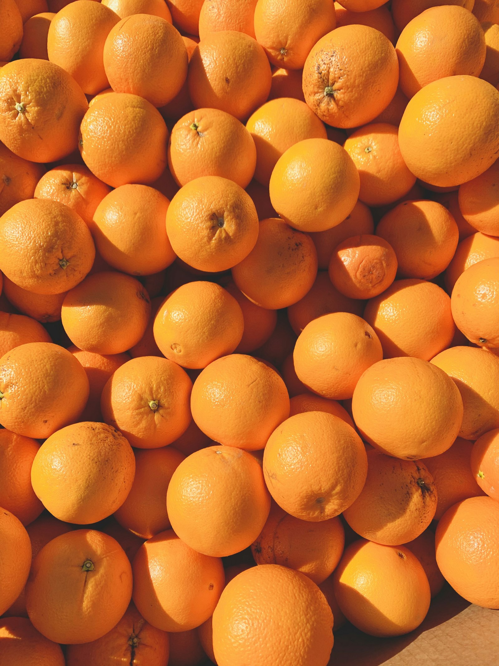 Haufen frischer Orangen im Sonnenlicht